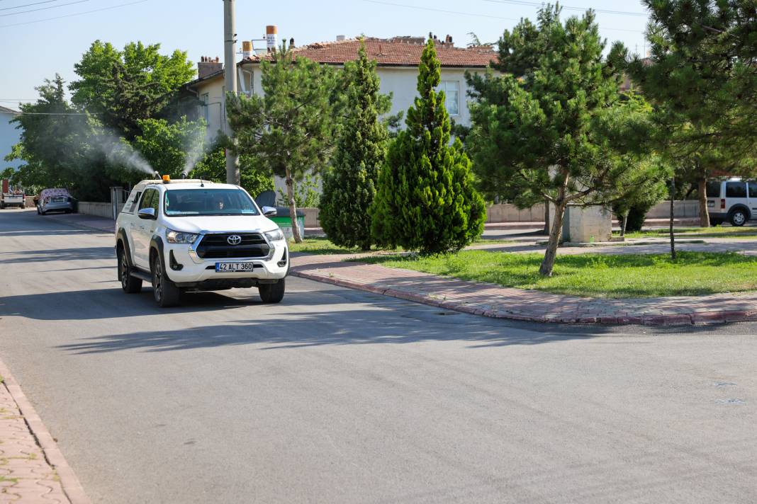 Selçuklu’da haşere ile mücadele 5